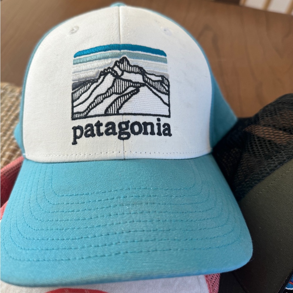 Patagonia Mid Crown Trucker Hat